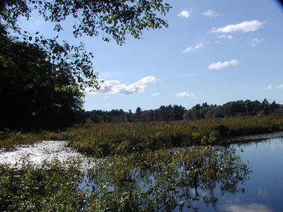 Spectacle Pond #5