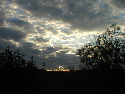 Evening clouds #4