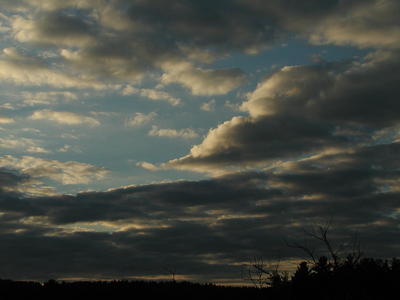 Evening clouds #6
