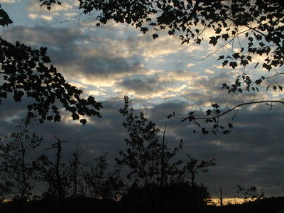 Evening clouds #8