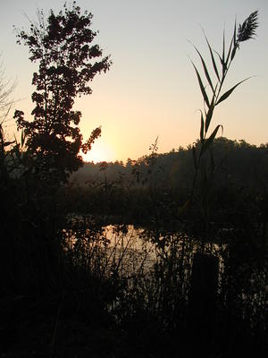 Spectacle Pond at sunrise #2