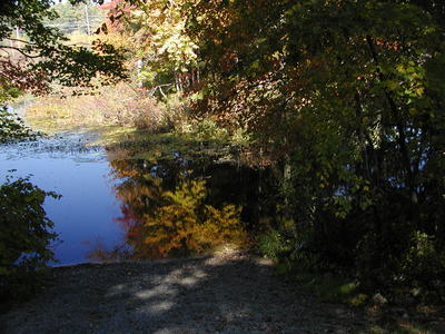 Spectacle Pond in fall