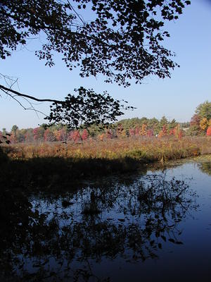 Spectacle Pond in fall #2
