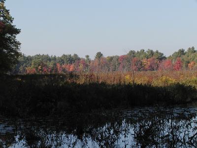 Spectacle Pond in fall #3