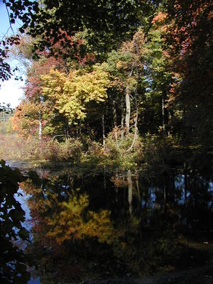 Spectacle Pond in fall #5