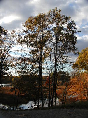 Fall on Spectacle Pond