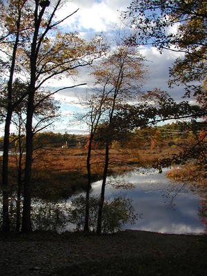Fall on Spectacle Pond #3