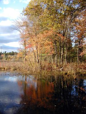Fall on Spectacle Pond #5