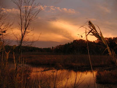 Sunset over Spectacle Pond