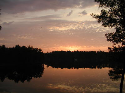 Sunrise on Spectacle Pond (with geese)
