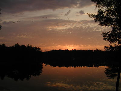 Sunrise on Spectacle Pond (with geese) #2