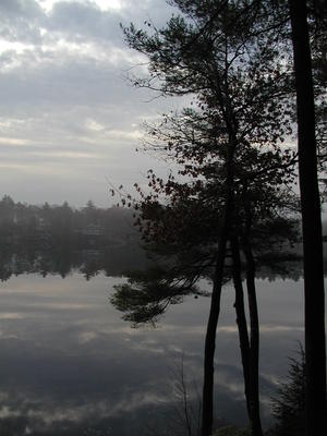 Foggy morning at the lake #3