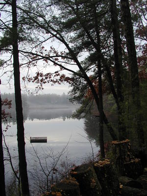 Foggy morning at the lake #4