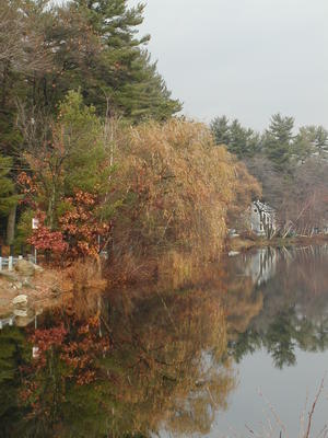 Fall on Sandy pond #2