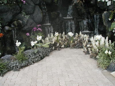 Flowers and waterfall