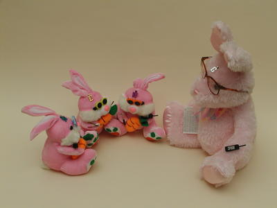 Pink Fluffy Bunnies seek world domination