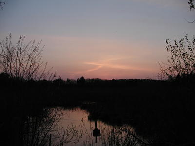 Bennetts Brook at sunset