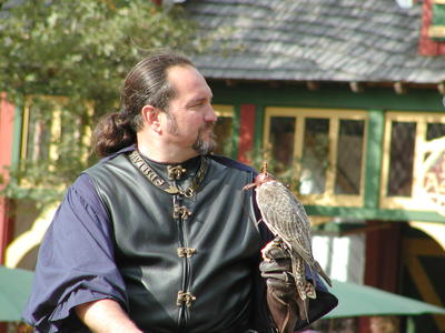 KnightHawk falconry show