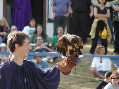 KnightHawk falconry show #18