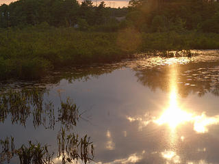 Sunset reflections on Spectacle Pond