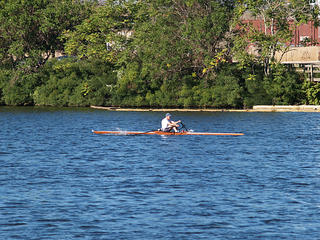 Rowing on the Charles river