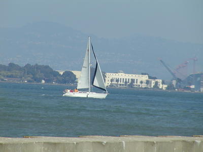 Sailboat in front of Alcatraz