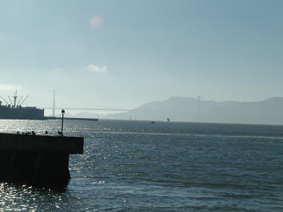 Golden Gate Bridge #5