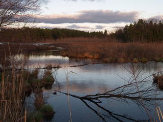 Spectacle Pond sunset #11
