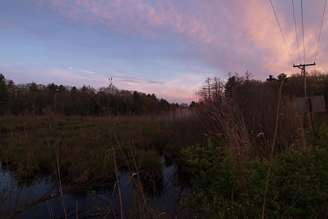 Spectacle pond sunset #4