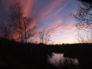 Spectacle pond sunset #7