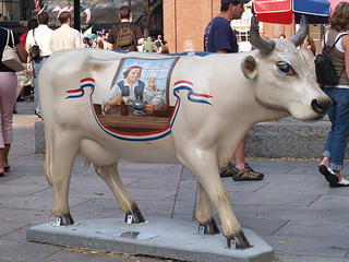 Sam Adams cow