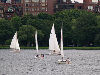 Sailboats on the Charles river