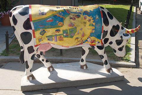 Kids map of Boston cow