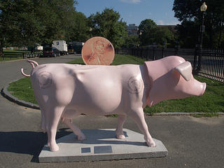 Piggy bank cow