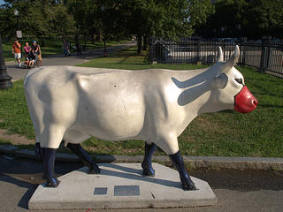 Swan boat cow
