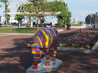 Cow of many colors #2