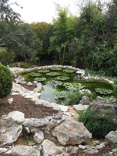 Oriental pond