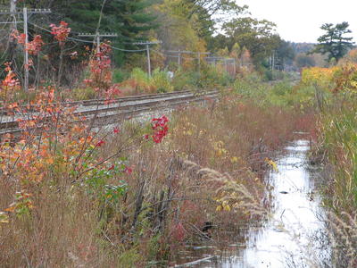 Railway tracks in fall