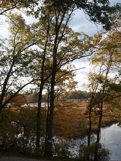 Spectacle pond in fall