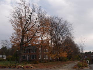 House in fall