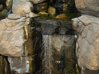 Waterfall in the National Aquarium #2