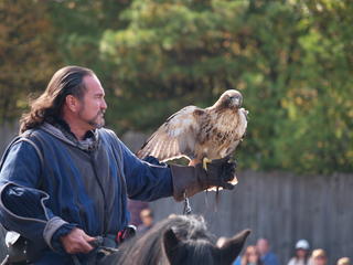 Knighthawk falcon show #5
