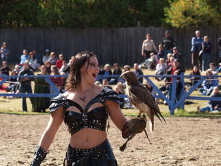 Knighthawk falcon show #7