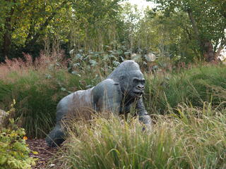 Gorilla statue