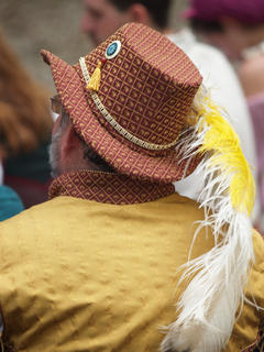 Hat with feathers