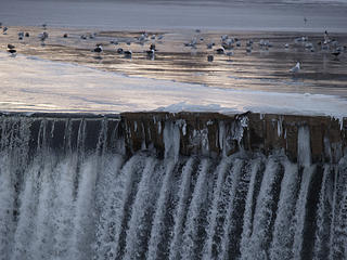Lawrence dam in winter #2