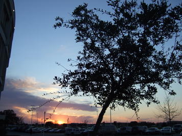 Austin sunset #7