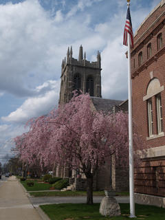 Church and tree #2