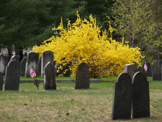 Springtime gravesite