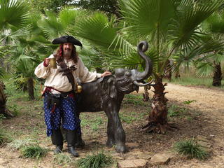 Pirate and elephant